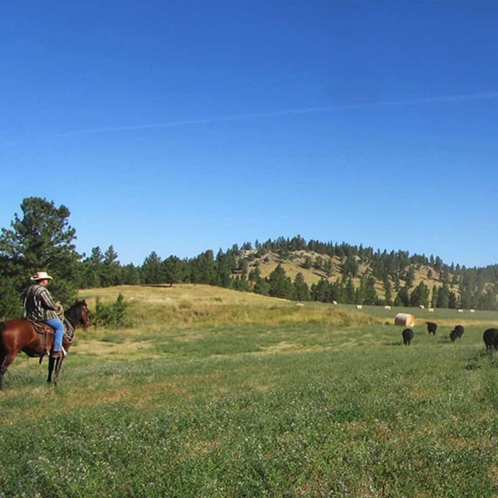 Wyoming Land Brokers Arnold Realty Newcastle, WY