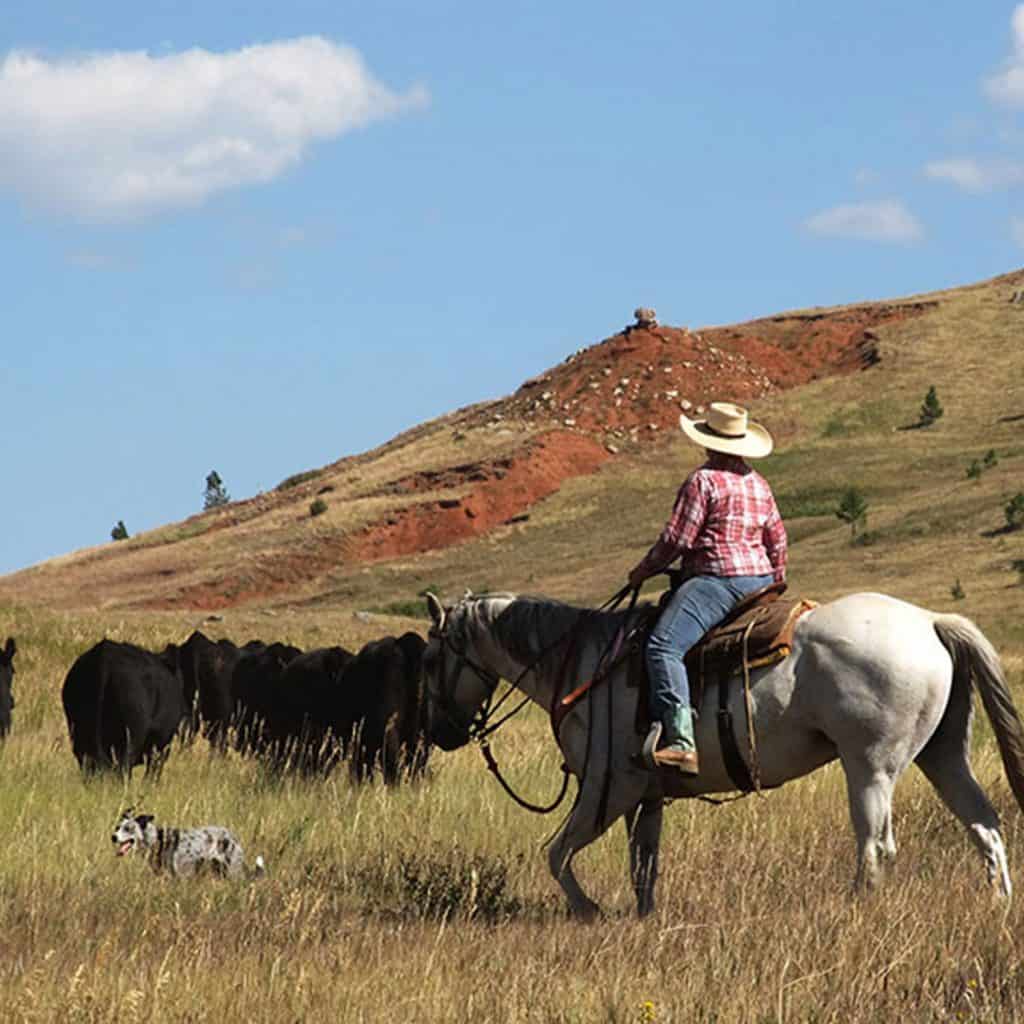Wyoming Land Brokers Arnold Realty Newcastle, WY