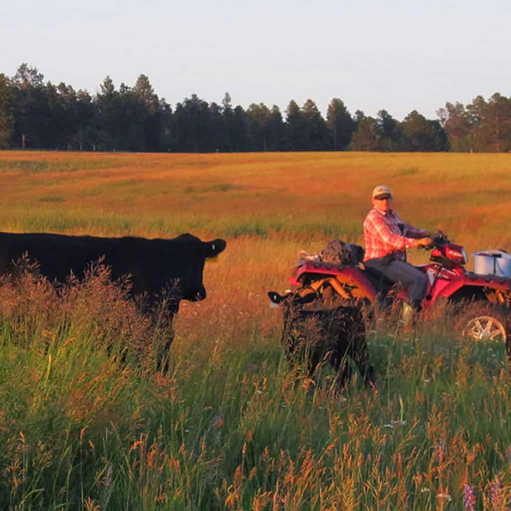 Wyoming Land Brokers Arnold Realty Newcastle, WY