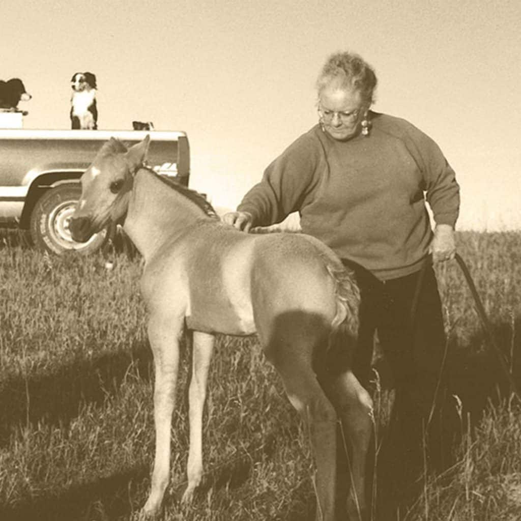 Wyoming Land Brokers Arnold Realty Newcastle, WY