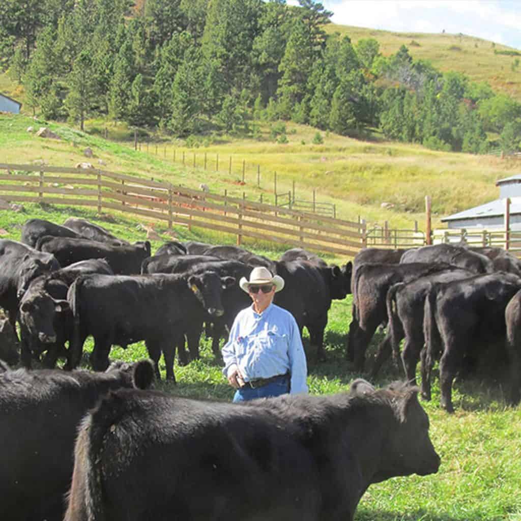 Wyoming Land Brokers Arnold Realty Newcastle, WY